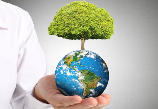 Environmental management dissertations image